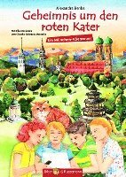bokomslag Geheimnis um den roten Kater