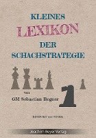 bokomslag Kleines Lexikon der Schachstrategie