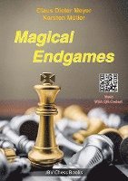bokomslag Magical Endgames