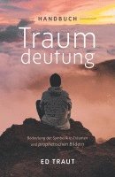 bokomslag Handbuch Traumdeutung