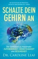 bokomslag Schalte dein Gehirn an