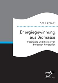 bokomslag Energiegewinnung aus Biomasse. Potenziale und Risiken von biogenen Rohstoffen