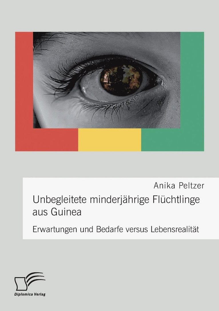Anika Peltzer - Unbegleitete minderjährige Flüchtlinge aus Guinea. Erwartungen und Bedarfe versus Lebensrealität, Häftad