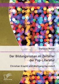 bokomslag Der Bildungsroman im Zeitalter der Pop-Literatur. Christian Kracht und Wolfgang Herrndorf
