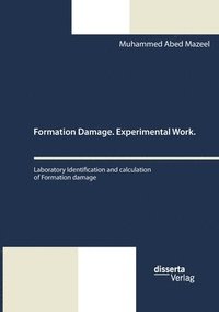 bokomslag Formation Damage. Experimental Work. Laboratory Identification and calculation of Formation damage