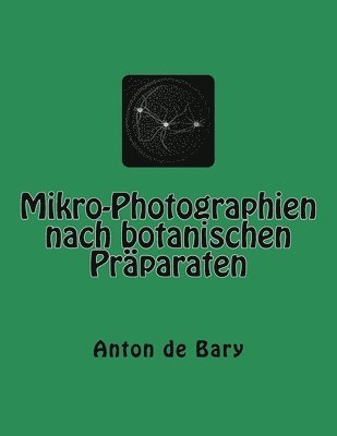 Mikro-Photographien nach botanischen Präparaten 1