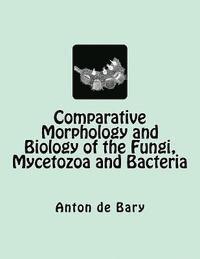 bokomslag Comparative Morphology and Biology of the Fungi, Mycetozoa and Bacteria