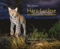 bokomslag Harz-Luchse Die Rückkehr der Raubkatzen