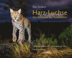 Harz-Luchse Die Rückkehr der Raubkatzen 1
