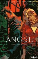 Bryan Edward Hill, Gleb Melnikov - Angel - Jäger der Finsternis 1, Häftad