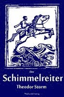 bokomslag Der Schimmelreiter