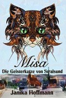 bokomslag Misa - Die Geisterkatze von Stralsund