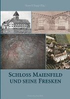 bokomslag Schloss Maienfeld und seine Fresken