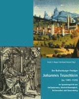 bokomslag Der Rothenburger Prediger Johannes Teuschlein (ca. 1485-1525) im Spannungsfeld von Antijudaismus, Marienfrömmigkeit, Reformation und Bauernkrieg