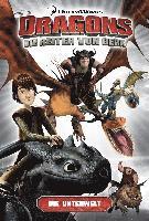 bokomslag Dragons - die Reiter von Berk 06. Die Unterwelt