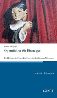 bokomslag Opernfuhrer fur Einsteiger
