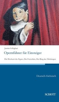 bokomslag Opernfhrer fr Einsteiger