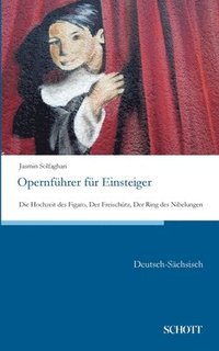 bokomslag Opernfuhrer fur Einsteiger