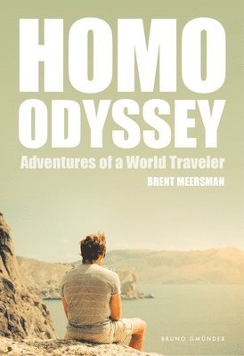 bokomslag Homo Odyssey