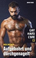 Gay Hardcore 13: Aufgebohrt und durchgenagelt 1