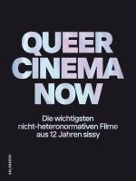 bokomslag Queer Cinema Now