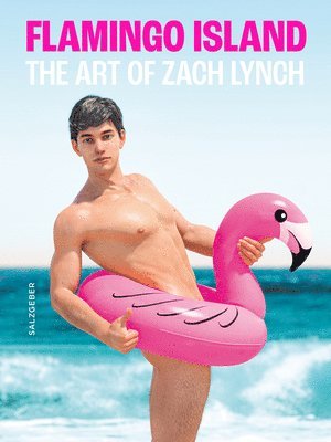 Flamingo Island. the Art of Zach Lynch 1