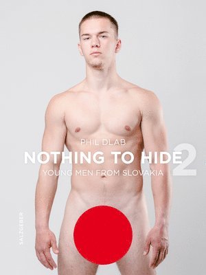 bokomslag Nothing to Hide 2. Young Men from Slovakia