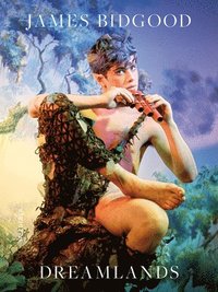 bokomslag James Bidgood. Dreamlands