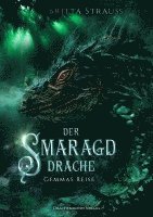 bokomslag Der Smaragddrache