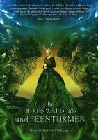 Patricia Briggs, Lena Falkenhagen, Michelle Natascha Weber, Andreas Suchanek, Stephan R. Bellem, Alexandra Fuchs, Christian Handel, Oliver Schlick, Jim C. Hines, Katharina Seck, Julia Adrian, Sylvia Johanna Sollfrank, Bettina Belitz, Marissa Meyer, Maggie Stiefvater, Halo Summer, Nina Mackay, Nina Blazon, Nicole Böhm, Christian Handel - In Hexenwäldern und Feentürmen, Häftad