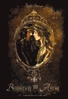 Britta Strauss - Bernstein und Asche, Häftad