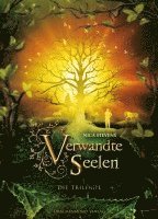 Nica Stevens - Verwandte Seelen, Häftad
