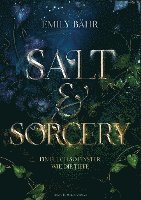 bokomslag Salt & Sorcery