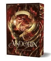 Andorin 3 - Drachenraunen 1