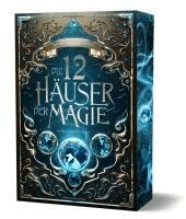 Andreas Suchanek - Die 12 Häuser der Magie - Schicksalswächter, Häftad