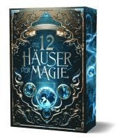 Andreas Suchanek - Die 12 Häuser der Magie - Schicksalswächter, Häftad