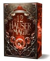 Andreas Suchanek - Die 12 Häuser der Magie - Schicksalskämpfer, Häftad