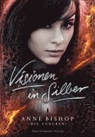 bokomslag Visionen in Silber