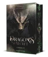 bokomslag Dragons in Secret - Jadeblut