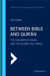 bokomslag Between Bible and Qur'an