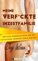 bokomslag Meine total verfickte Inzestfamilie