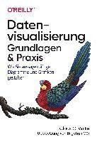 bokomslag Datenvisualisierung - Grundlagen und Praxis