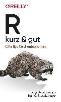bokomslag R - kurz & gut