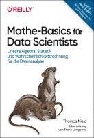 bokomslag Mathe-Basics für Data Scientists