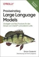 bokomslag Praxiseinstieg Large Language Models