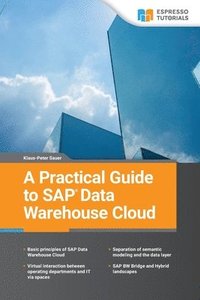 bokomslag Data Warehouse Cloud