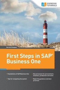 bokomslag First Steps in SAP Business One