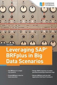 bokomslag Leveraging SAP BRFplus in Big Data Scenarios