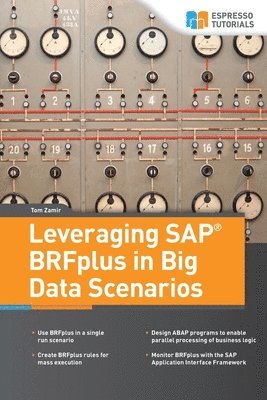 Leveraging SAP BRFplus in Big Data Scenarios 1
