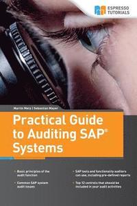 bokomslag Practical Guide to Auditing SAP Systems